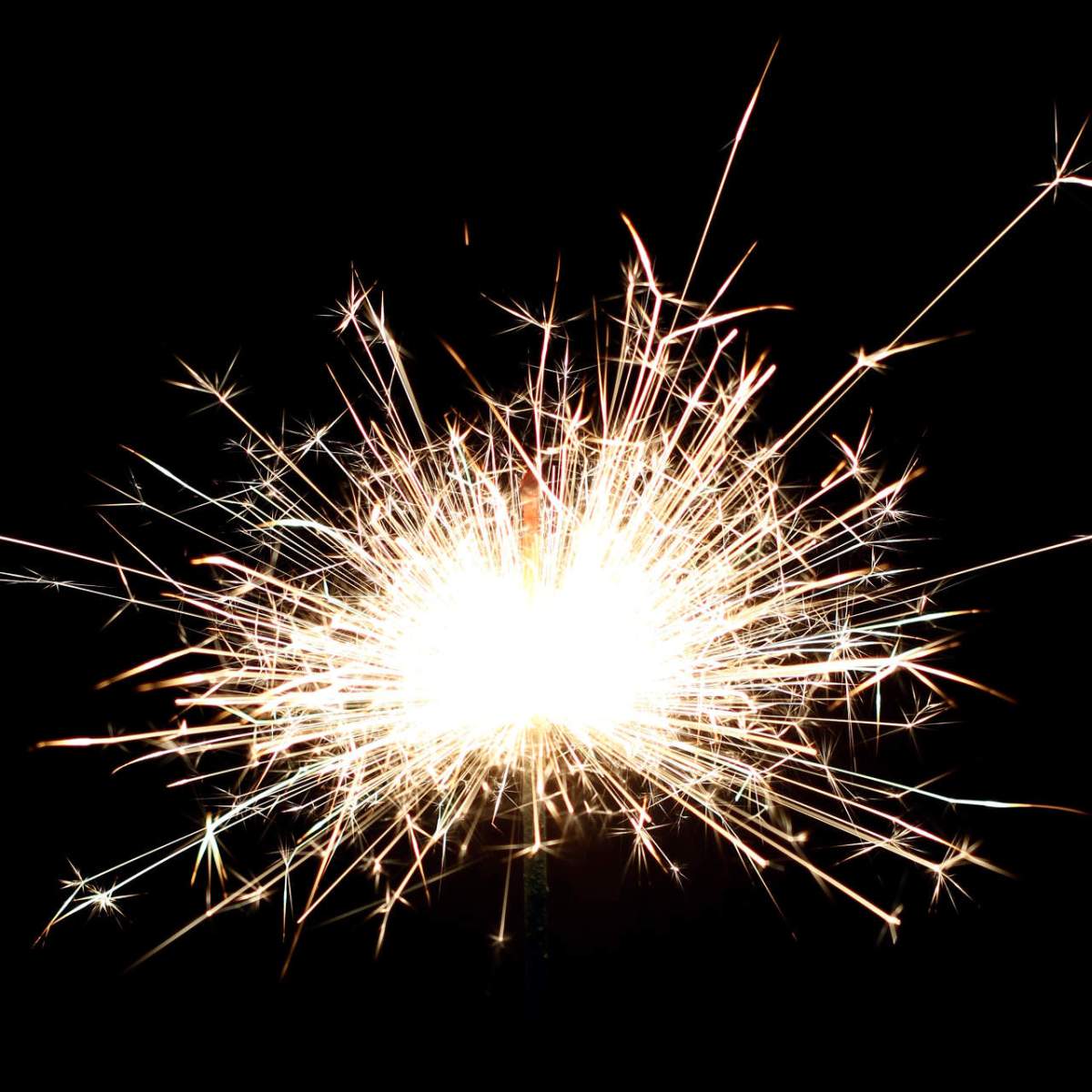 L&rsquo;origine de la&nbsp;violence