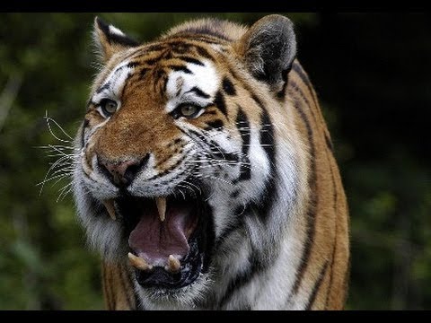 Vivre sa colère sans&nbsp;violence