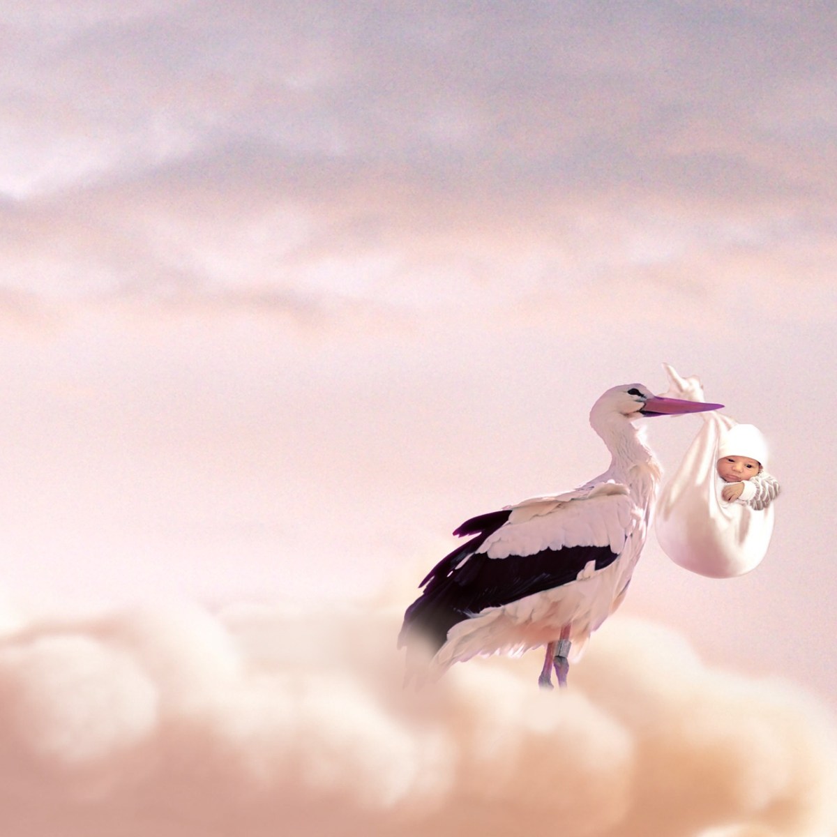 Qu&rsquo;est-ce que je fais sur Terre&nbsp;?