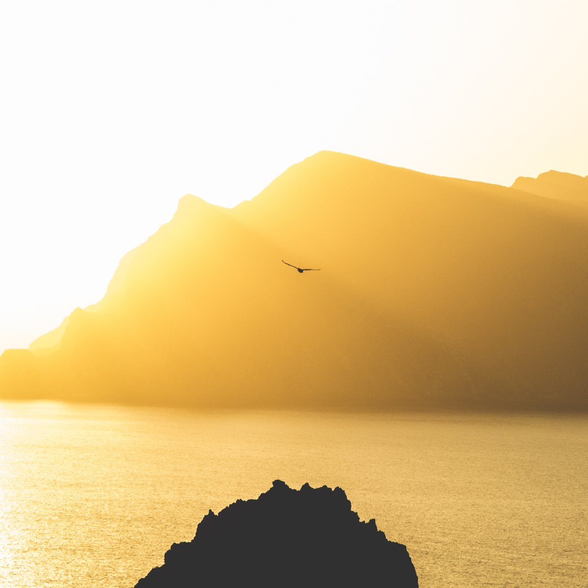 Avec quelle intention parlez et agissez-vous&nbsp;?