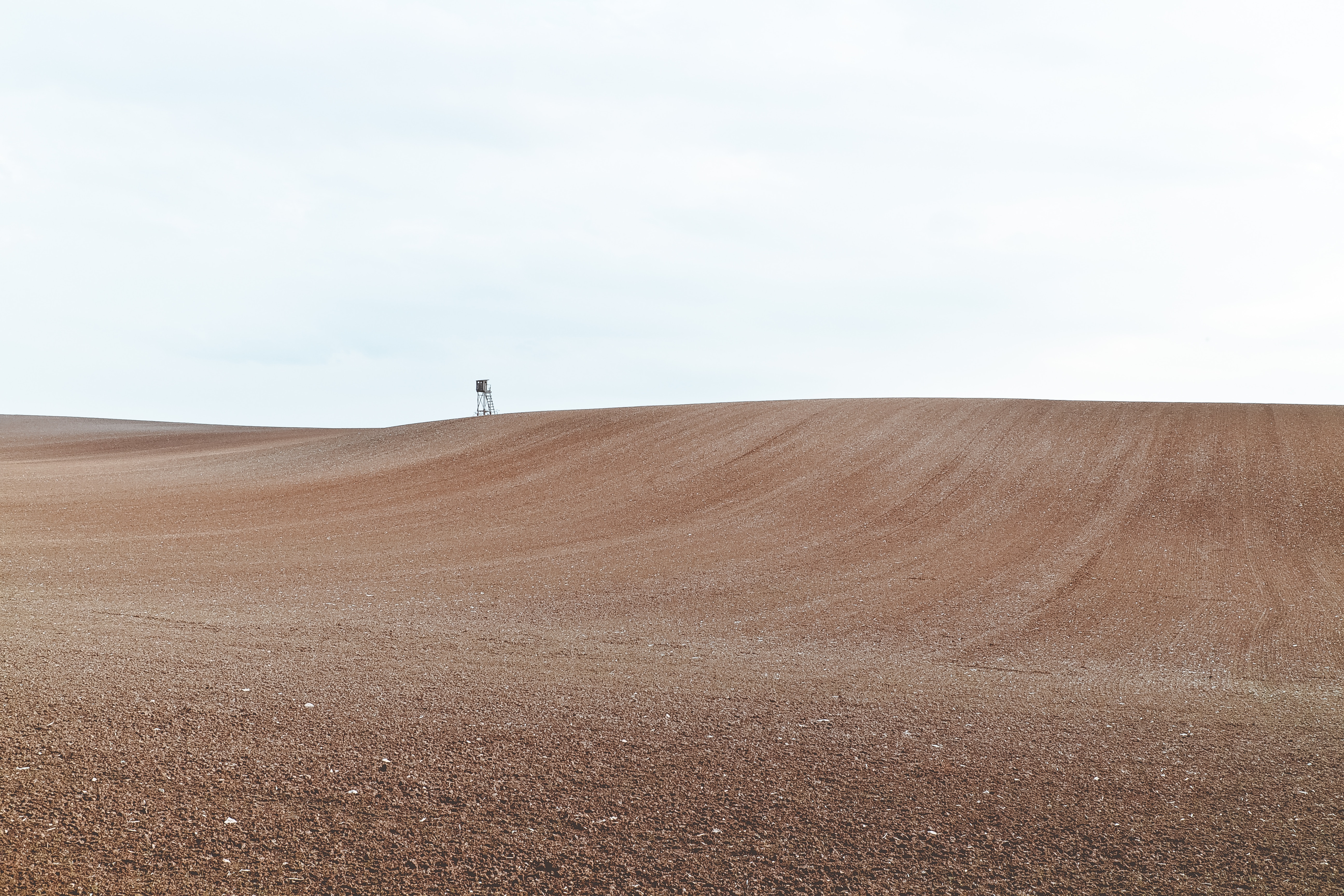 niklas-hamann-414424-unsplash