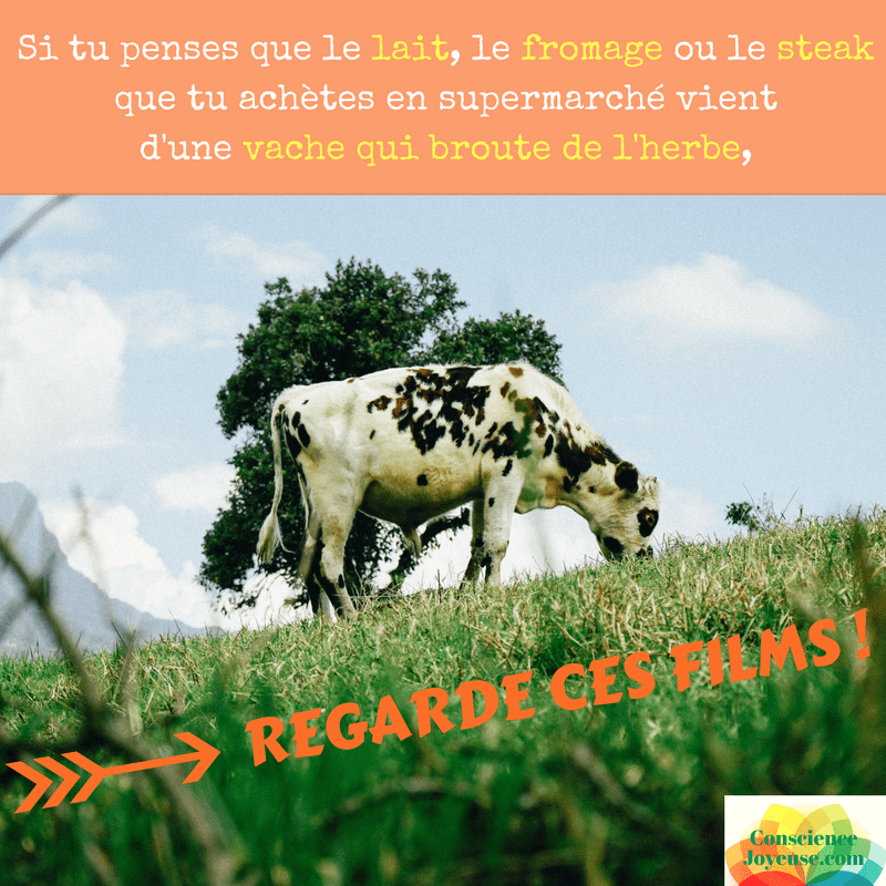 18 films pour comprendre le fonctionnement de la société de production et de&nbsp;consommation