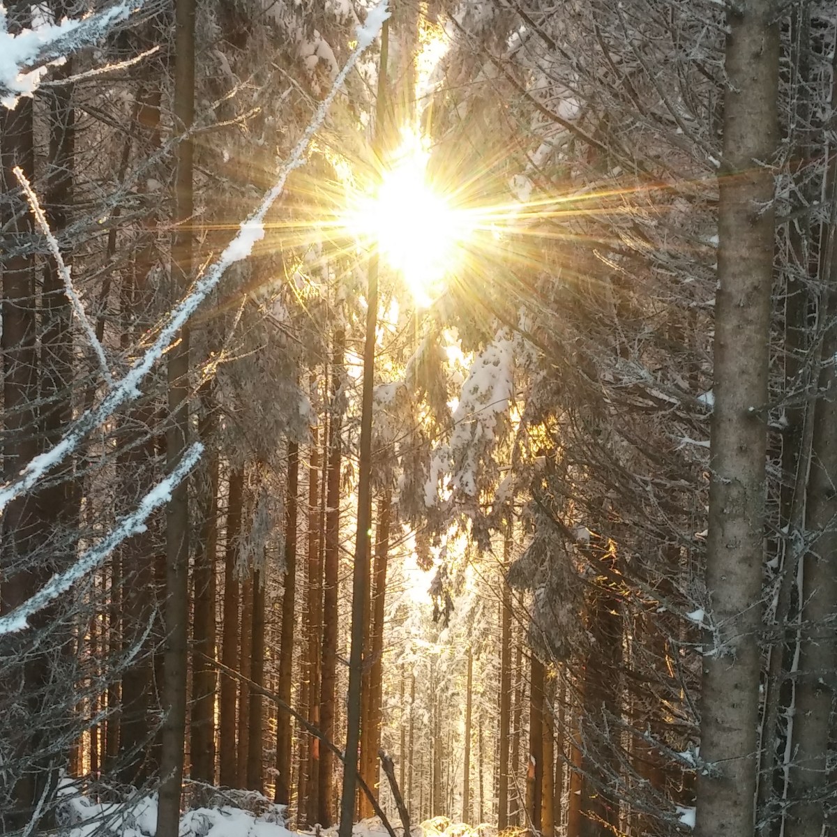 La relation la plus importante à&nbsp;cultiver