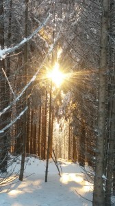 Lumière paysage eneigée