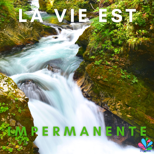 La terrible impermanence de la&nbsp;vie