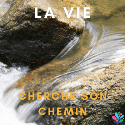 Quelle confiance peut-on accorder aux &laquo;&nbsp;va*ins&nbsp;&raquo; contre la CoV*d&nbsp;?