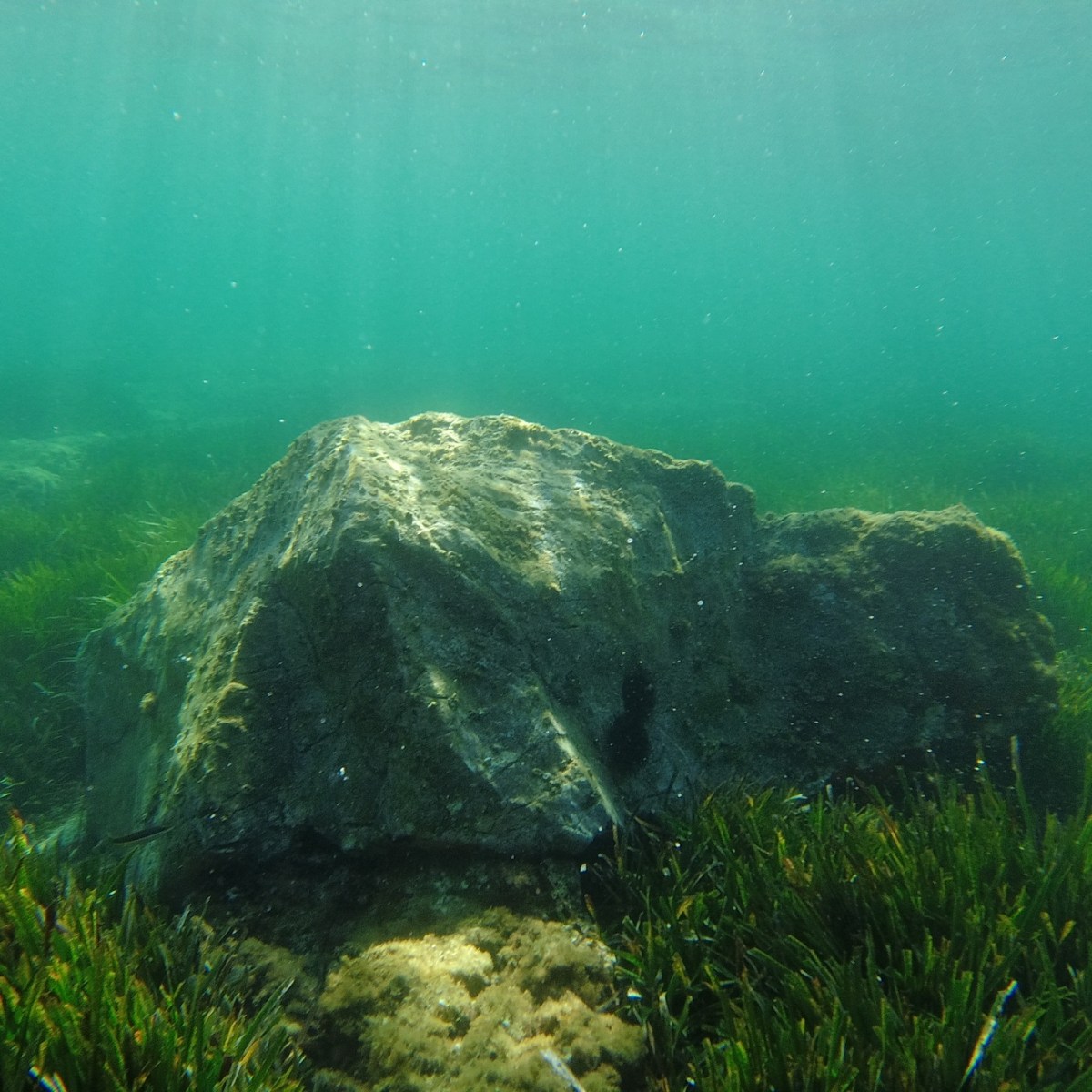 [Vidéos] Se ressourcer au travers de la&nbsp;mer